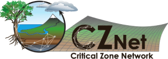 CZN logo